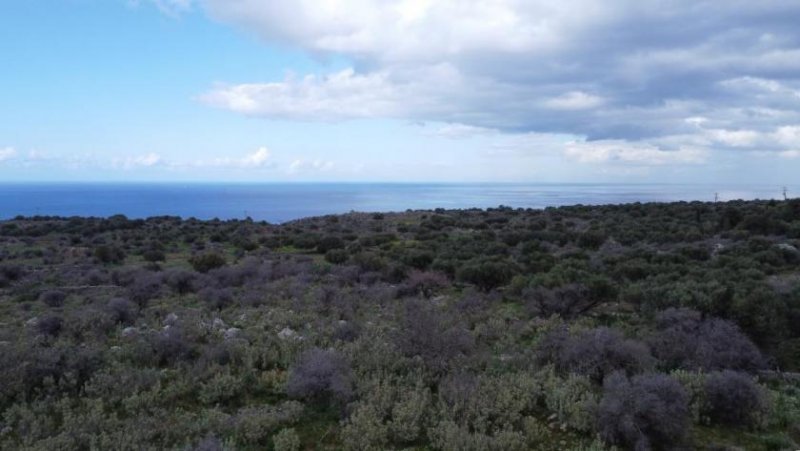 Kokkino Chorio Kreta, Kokkino Chorio: Grundstück in ruhiger Lage mit Meerblick zu verkaufen Grundstück kaufen